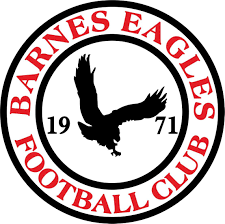 Barnes%20eagles