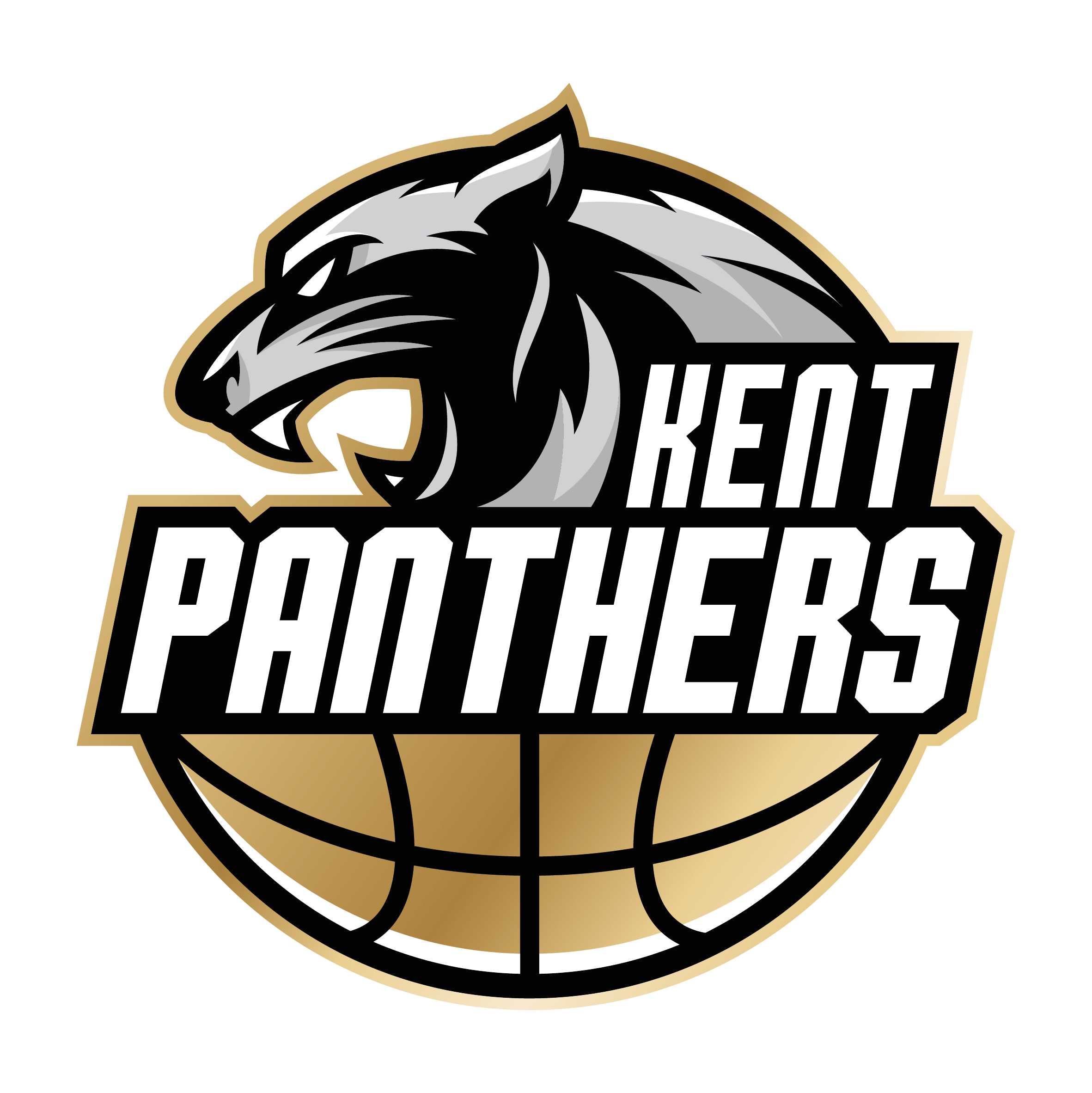 Kent%20panthers%20logo%20%282%29