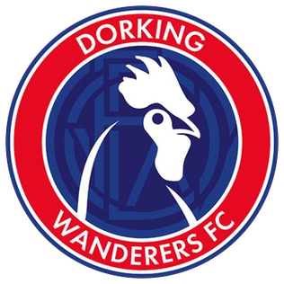 Dorking_wanderers_f.c._logo